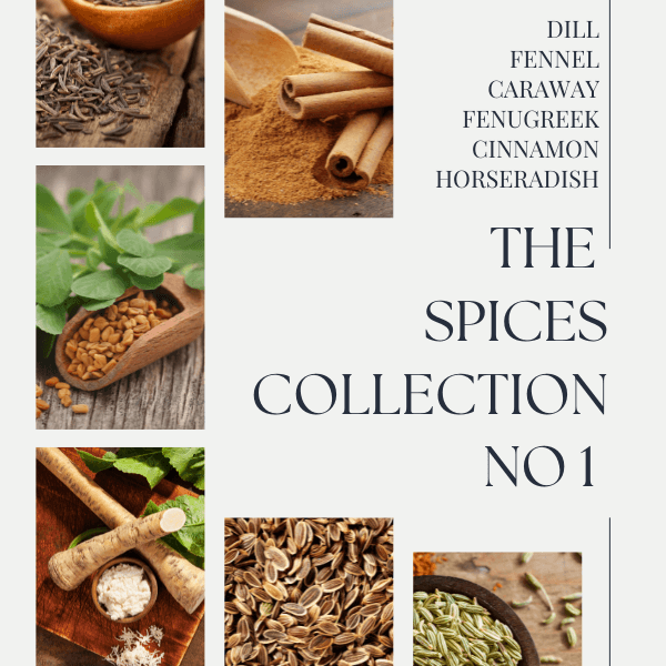 The Spices Collection No 1