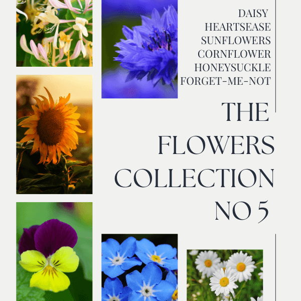 Flower Collection No 5