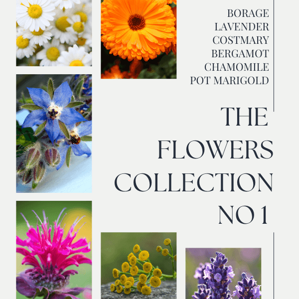 The Flower Collection No 1