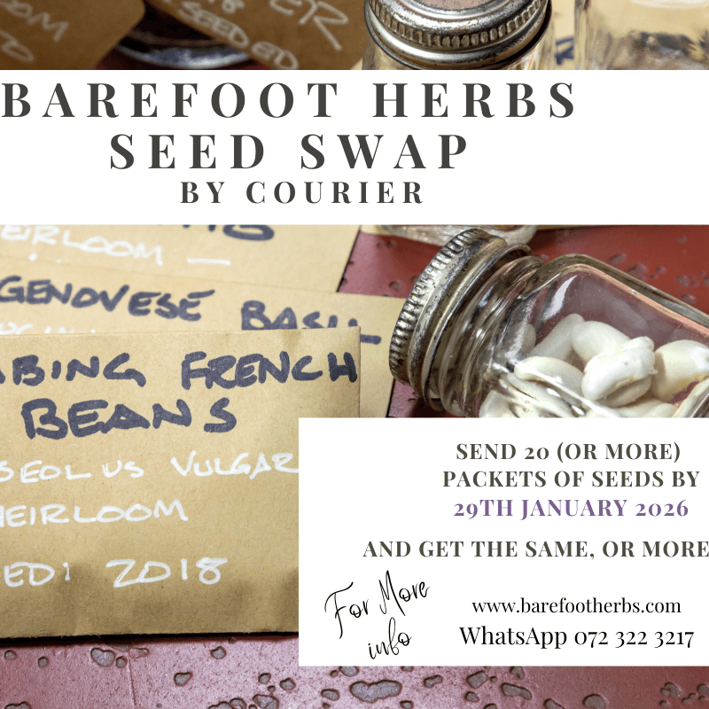 Barefoot Herbs Seed Swap