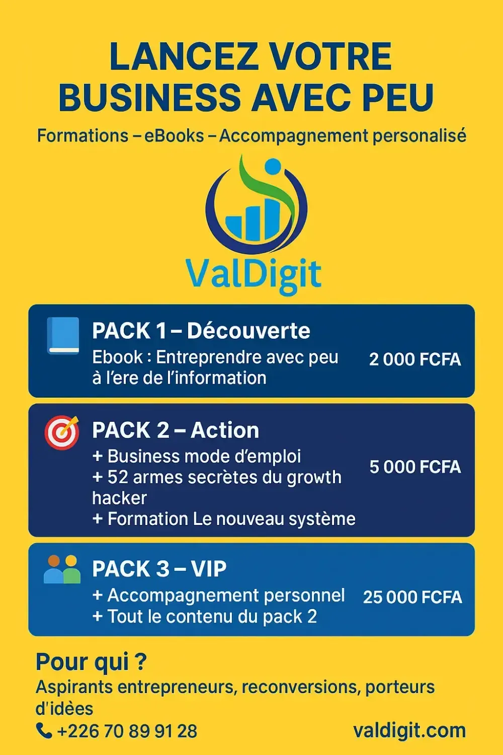 L'affiche publicitaire du 'eBook "entreprendre avec peu à 'ère de l'information: mythe ou réalité"