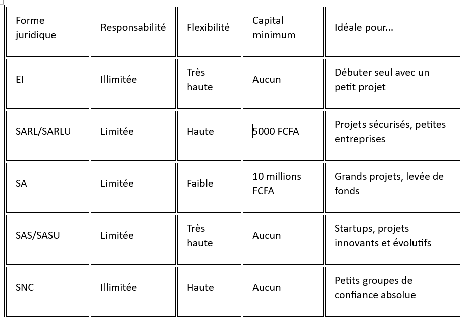 Un tableau comparatif des formes juridiques des entreprises au Burkina Faso
