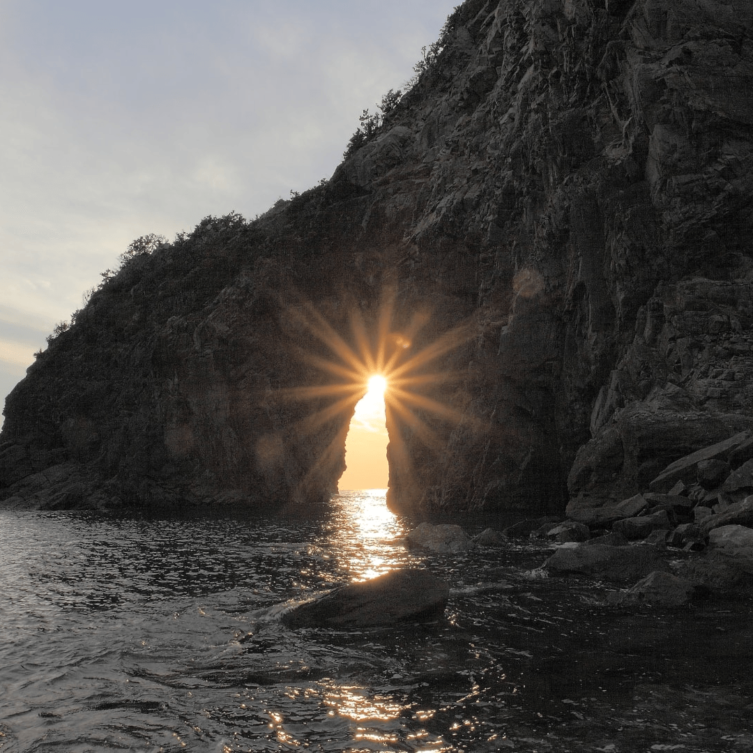 Consultation régulière (60 minutes), individuel