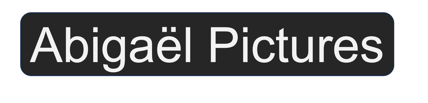 logo blanc abigael pictures