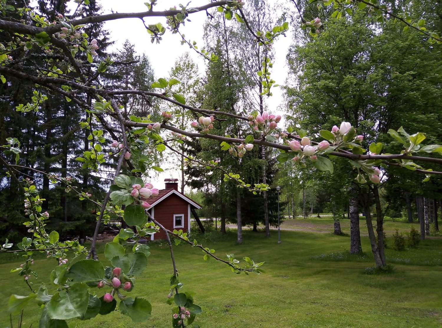 Vanha puulämmitteinen hirsisauna Kaukalinnan pihapiirissä Kerimäellä.