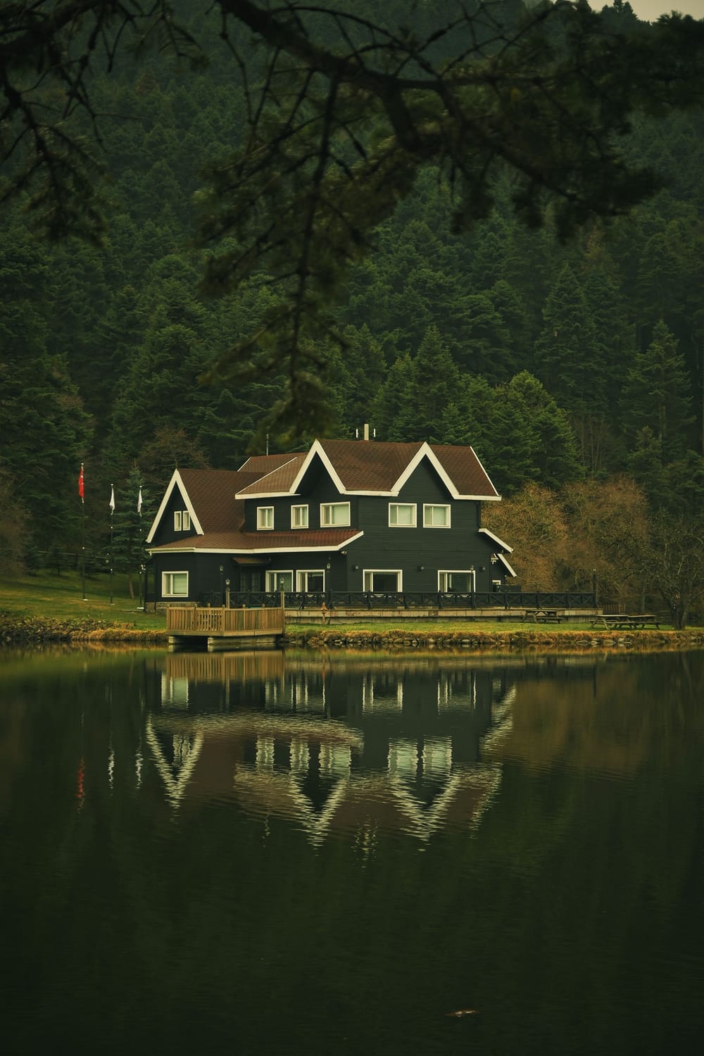 dreaming of a new house