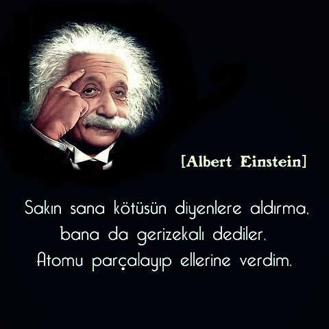 Albert-Einstein-Dropshipping-Web-Ticaret 