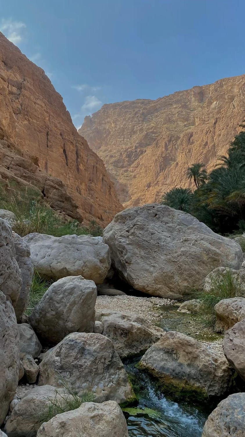 The path through Sinai