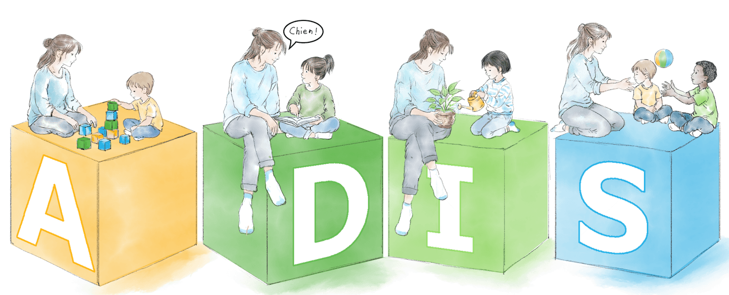 Illustration de la méthode ADIS avec les quatre cubes A, D, I et S