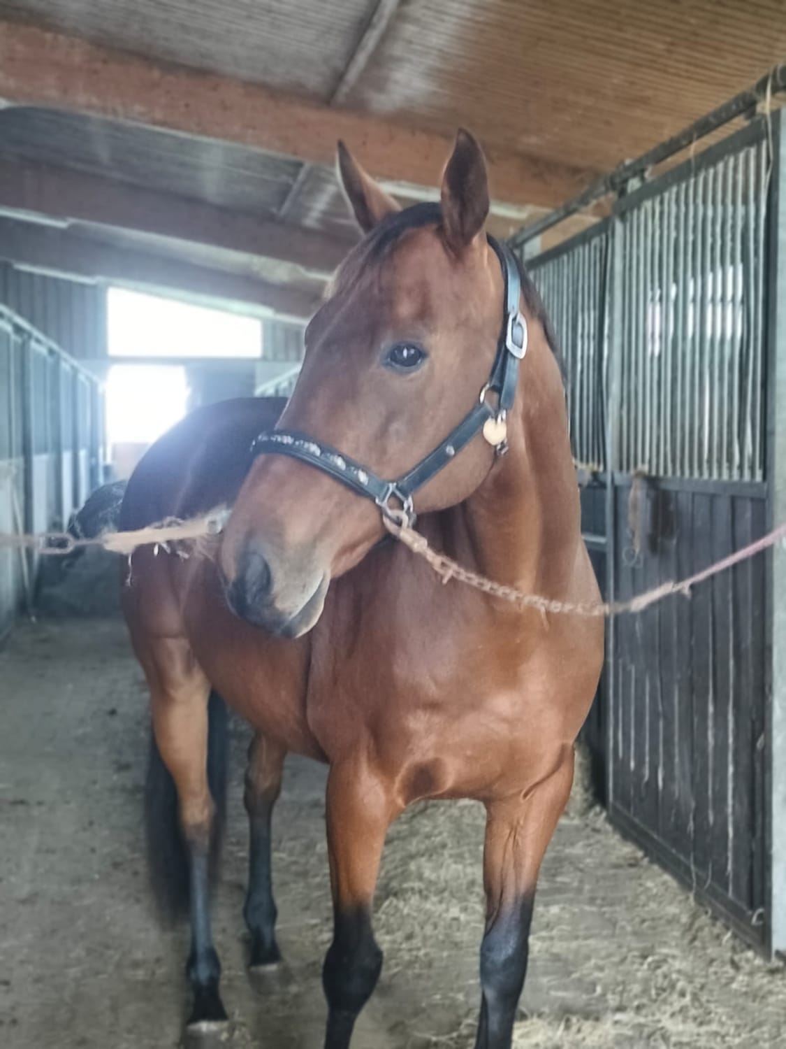 Training & Nähe – Hochformat