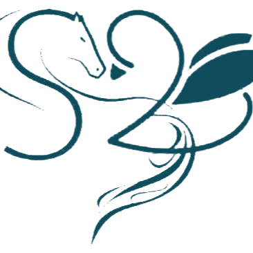 systeme.io