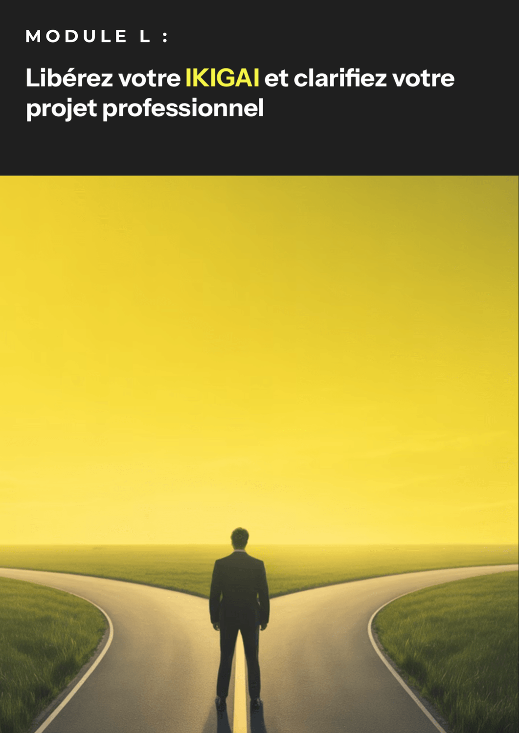 Libérez votre Ikigaï et clarifiez votre projet professionnel — Module L