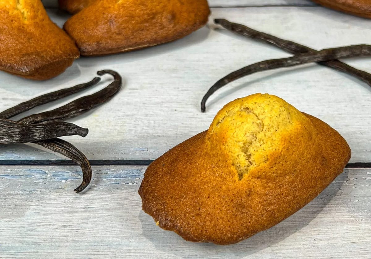 Madeleines dorées avec une belle bosse, posées sur une table en bois blanc à côté de gousses de vanille