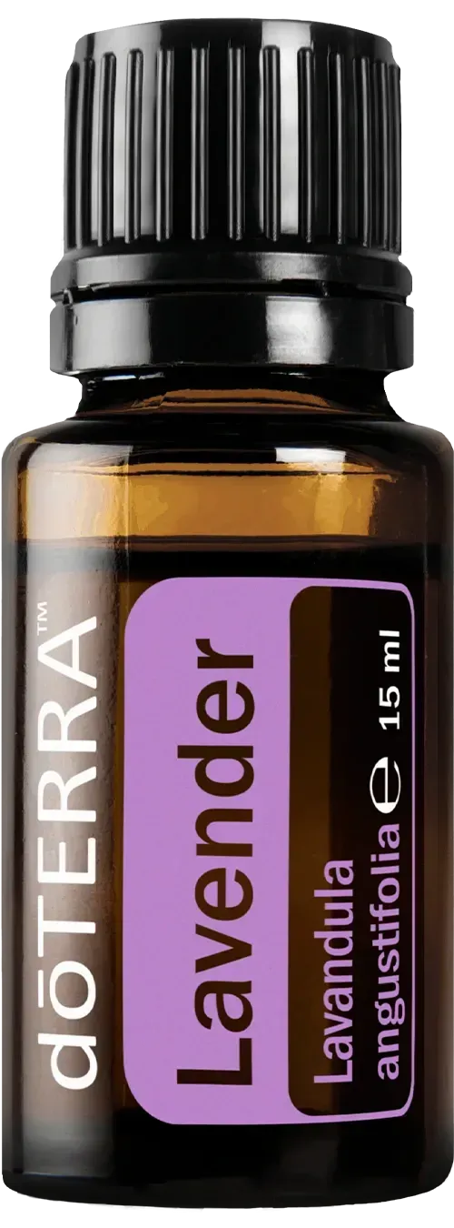 Lavender 15 ml von doterra, beruhigend 