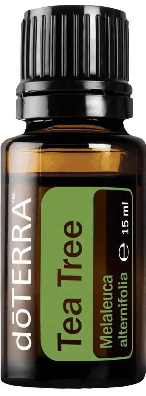 TeaTree, Teebaumöl doterra reinigend 