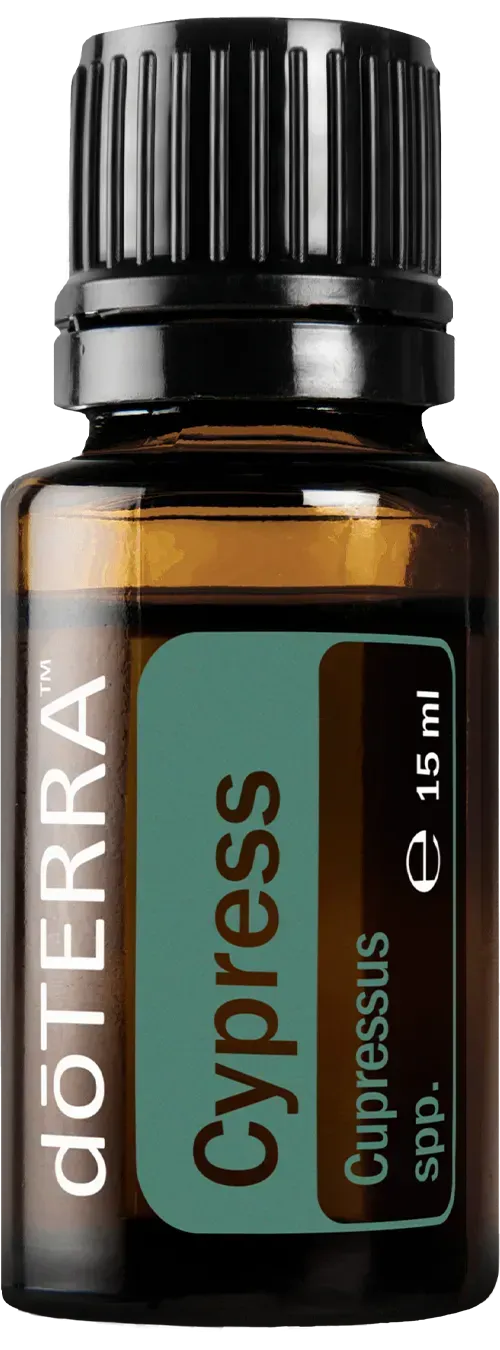 Cypresse Öl doTerra