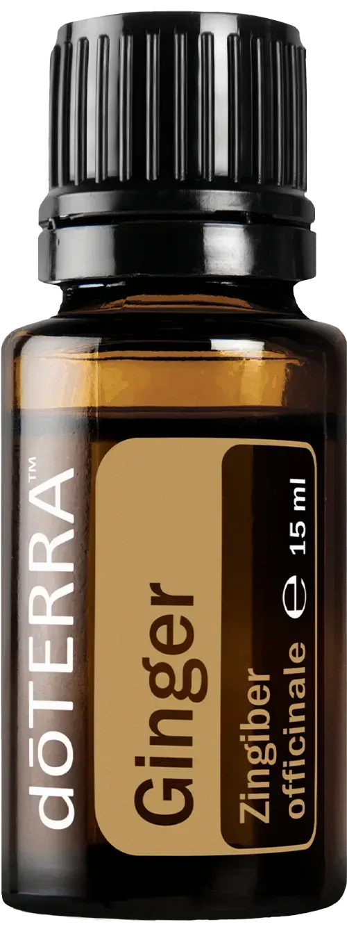 Ginger Öl doTerra - Ingwer