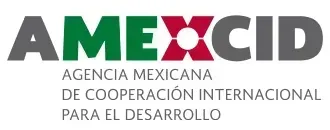 Becas Amexcid