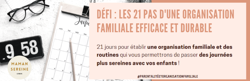 https://maman-sereine.systeme.io/bdcdefiorgafamiliale