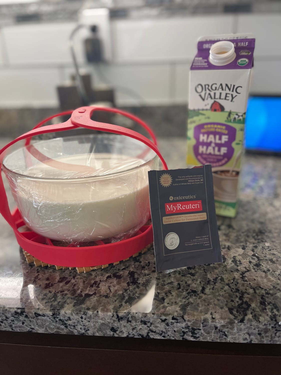Thick and creamy L Reuteri yogurt in a glass bowl Homemade probiotic yogurt made in Instant Pot L Reuteri yogurt texture close up Fermented yogurt in glass jar with spoon Creamy homemade yogurt for gut health