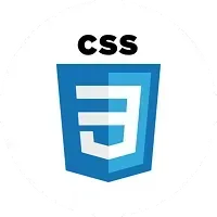 CSS Logo