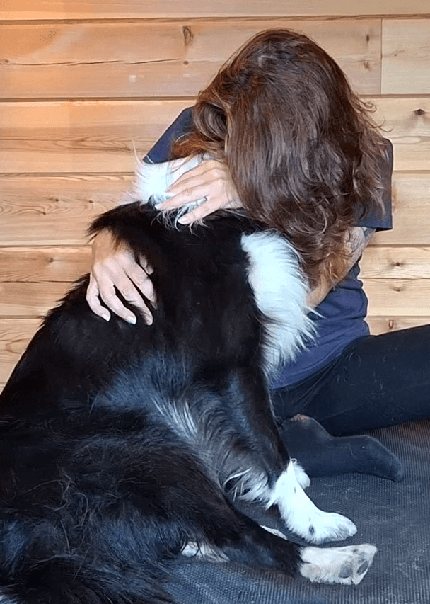 Massage canin doux pour le bien-être du chien