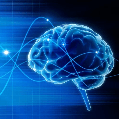 Train Your Brain Transform Your Life