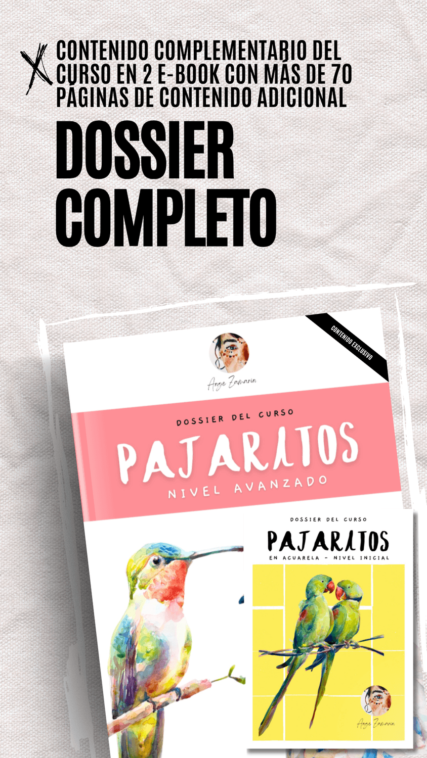 Los 2 dossiers del curso de aves en acuarela