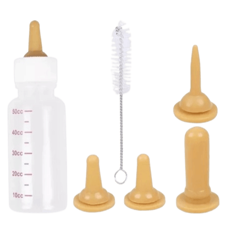 Equipment & Supplies