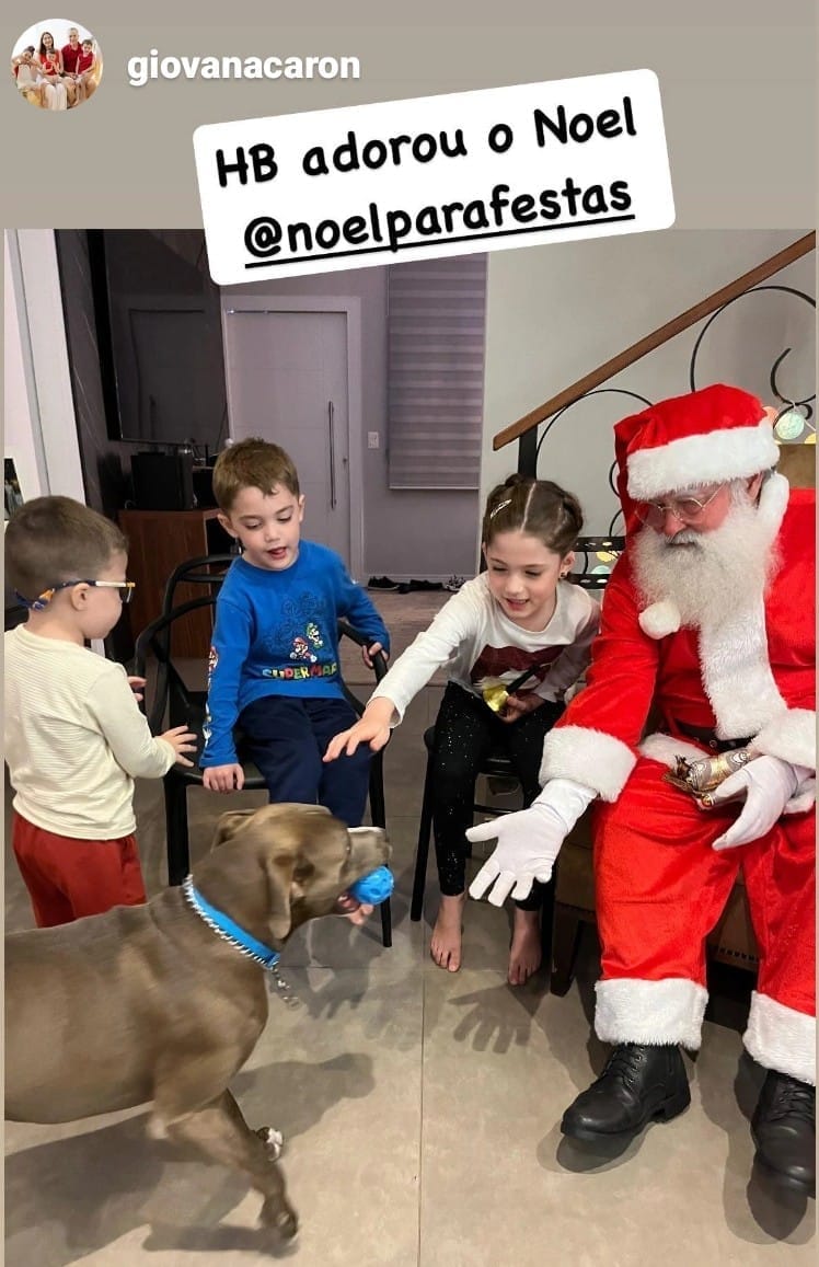 Foto Noel