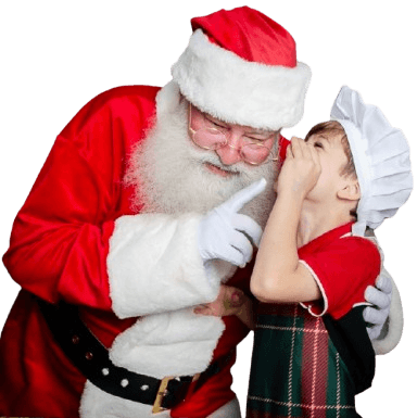 Foto Noel