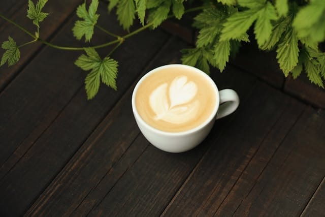 Java Burn reviews