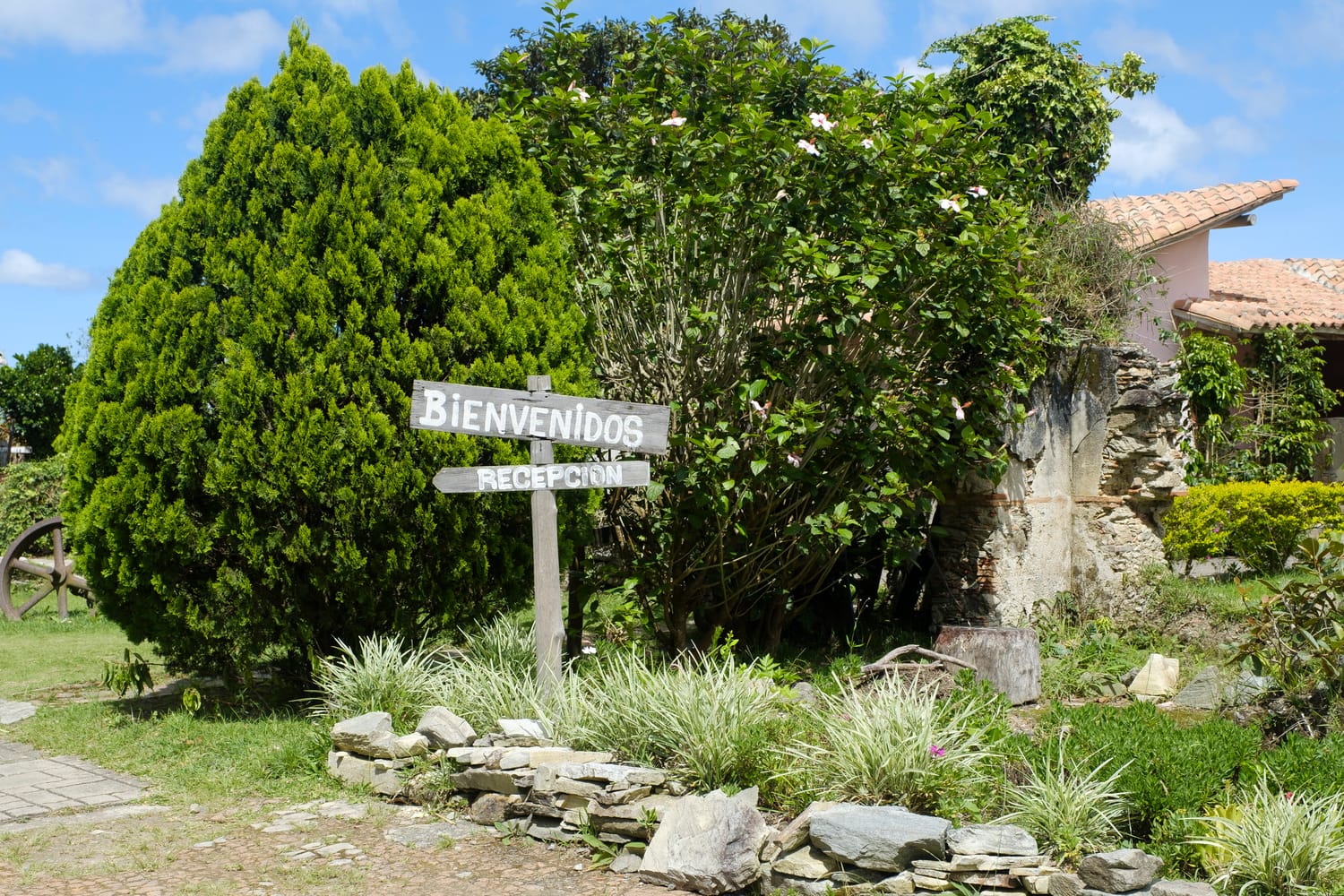 Boda en Galipán