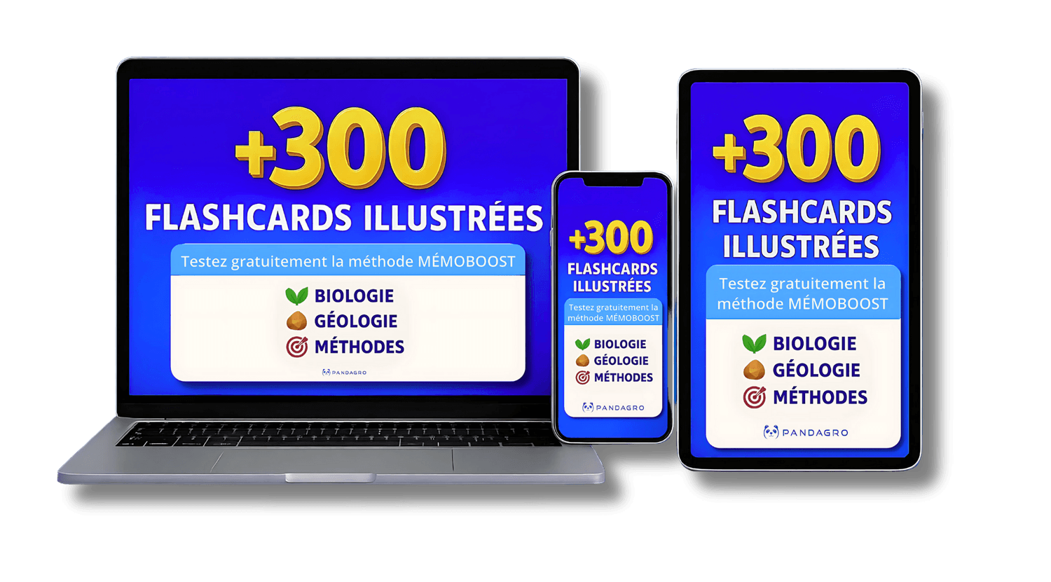 Pack Gratuit Pandagro - Flashcards SVT