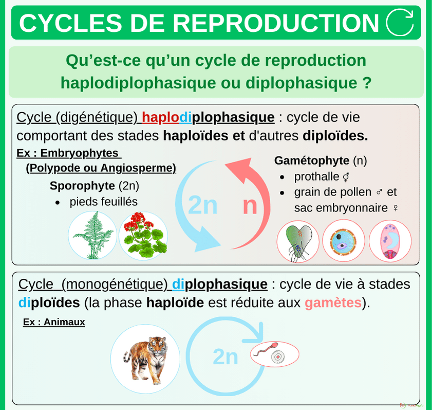 Extrait PDF 4
