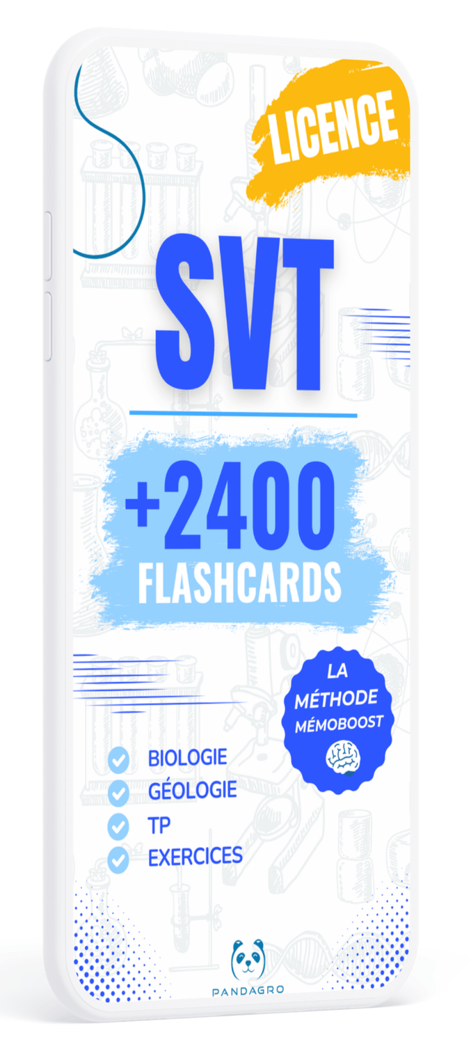 Pack Licence SVT MÉMOBOOST