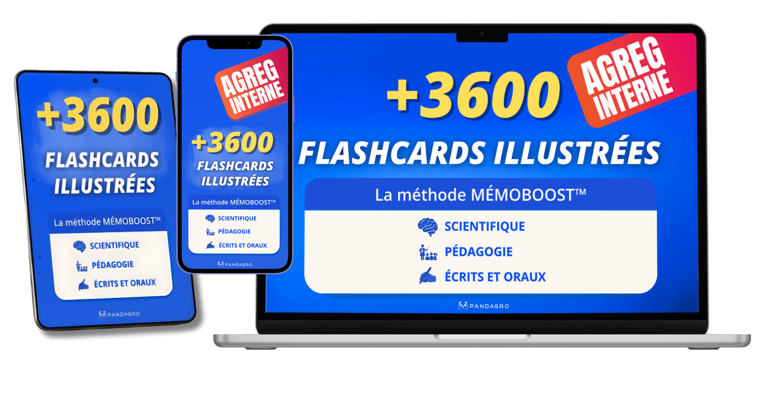 Pack flashcards SVT Pandagro