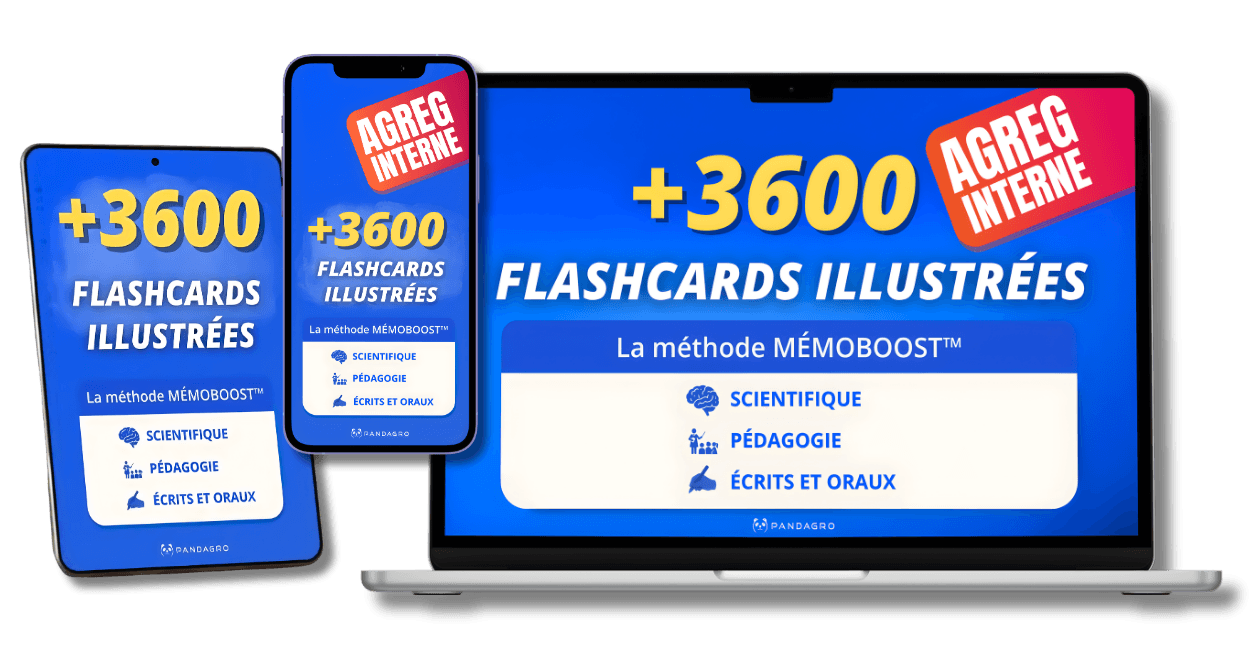 Pack Agrégation Interne