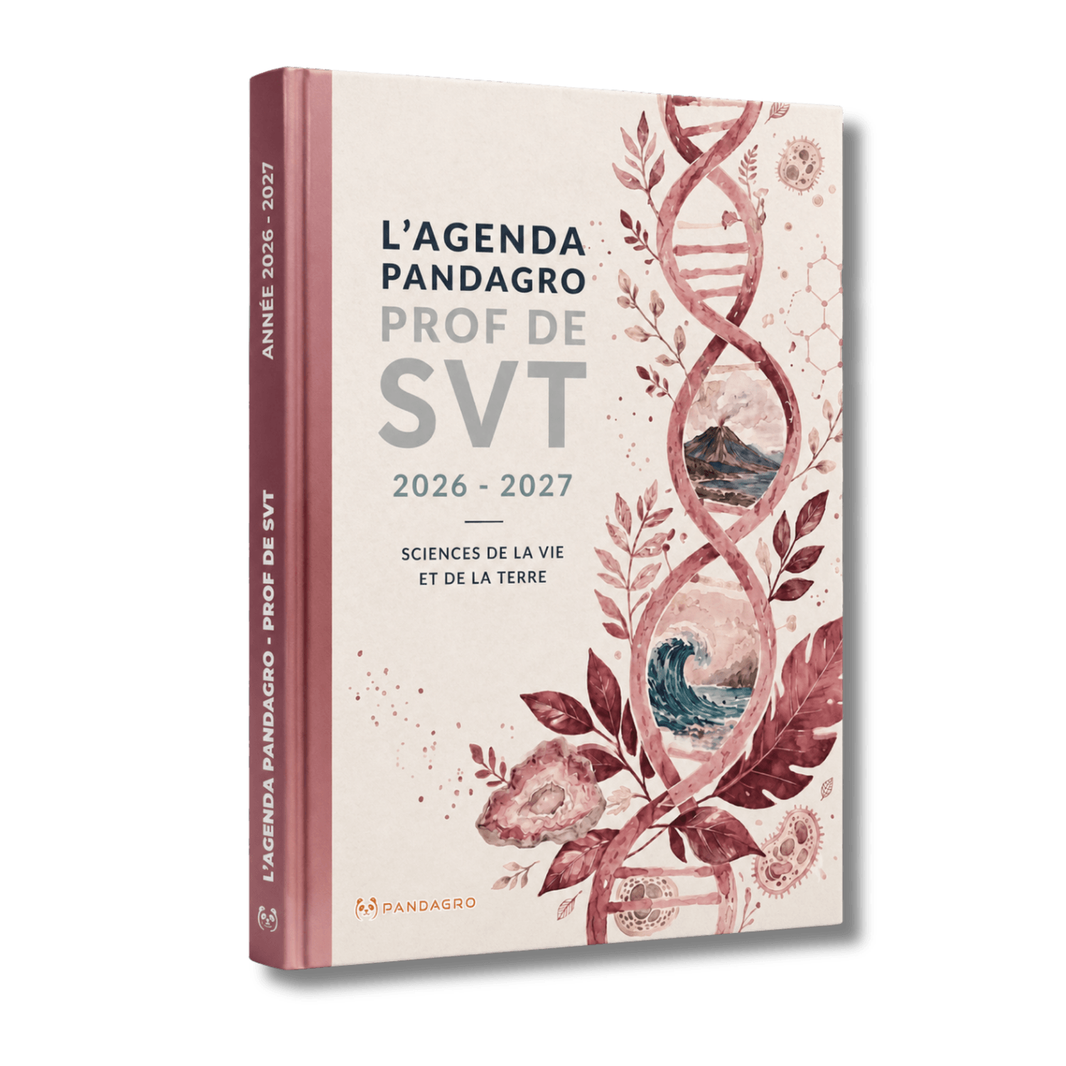 Agenda Pandagro rose