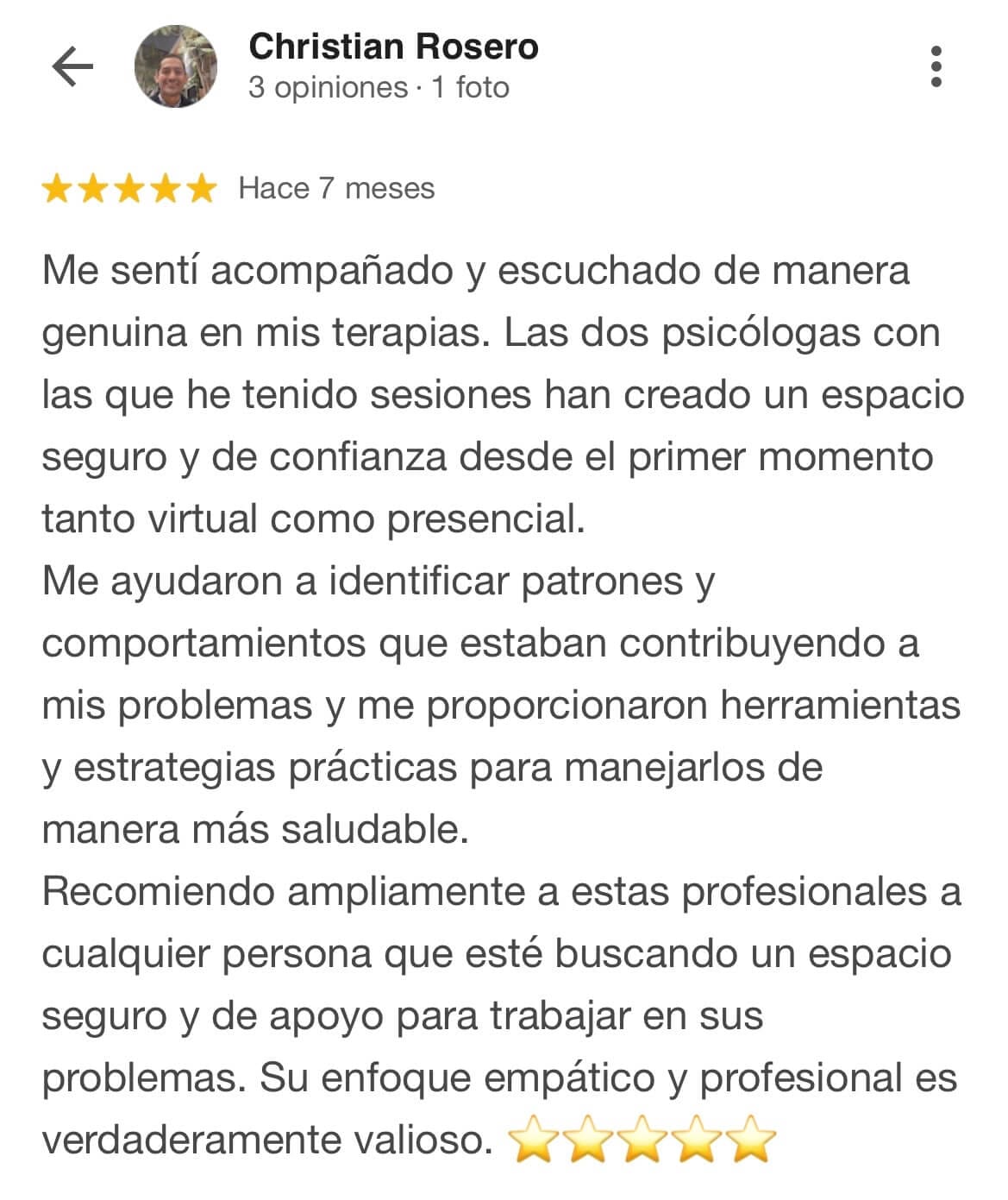 Reseña de Google 3