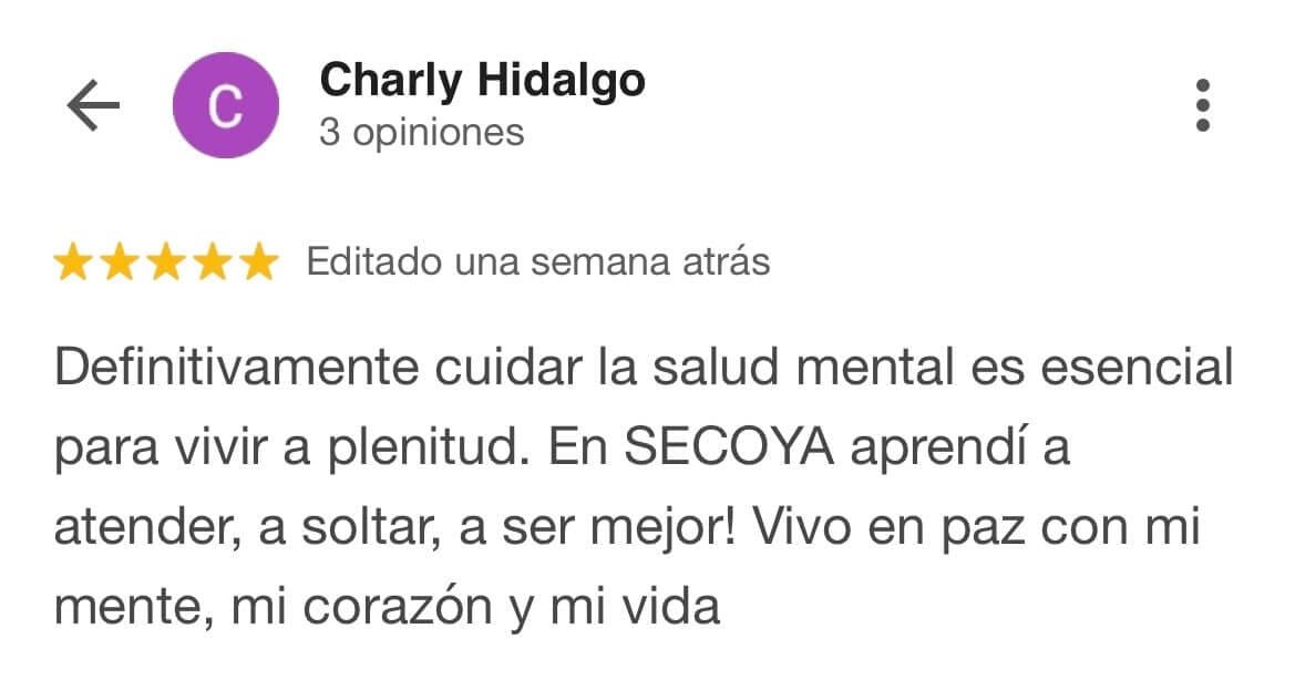 Reseña de Google 5