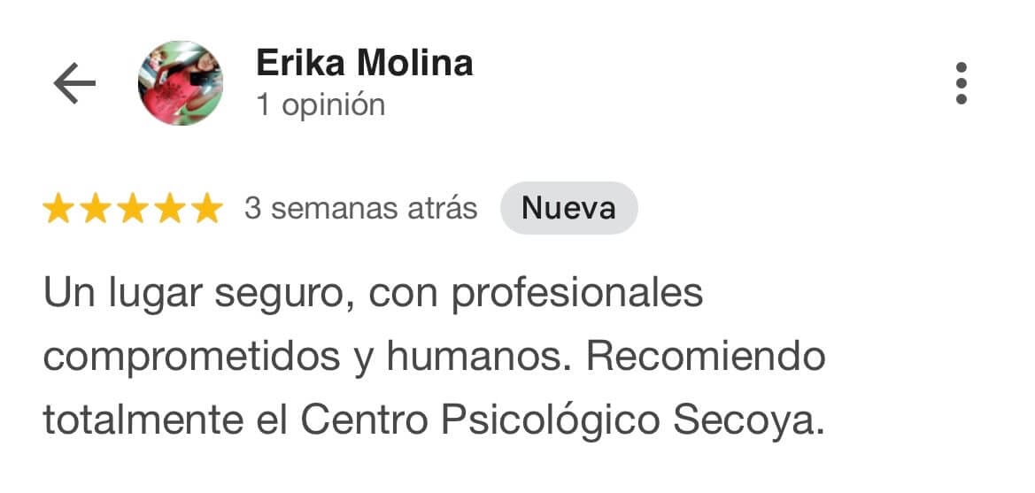 Reseña de Google 6