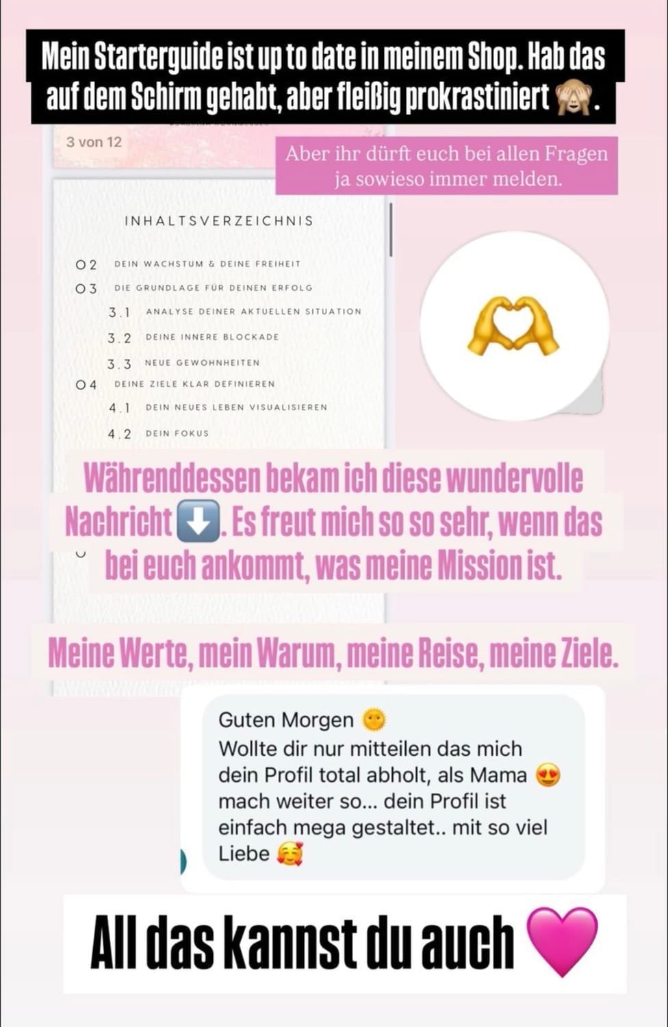 „Instagram-Story-Grafik mit einem Screenshot eines Starterguides und verschiedenen Text-Overlays. Oben steht: ‚Mein Starterguide ist up to date in meinem Shop‘. In der Mitte eine Nachricht von einer Kundin, die das Profil lobt. Darunter steht in pinker Schrift: ‚Meine Werte, mein Warum, meine Reise, meine Ziele.‘ Ganz unten: ‚All das kannst du auch‘ mit einem pinken Herz-Emoji. Die Grafik ist in hellen Tönen mit lila-pinkem Akzent gestaltet.“