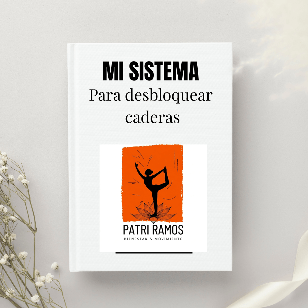Mi Sistema