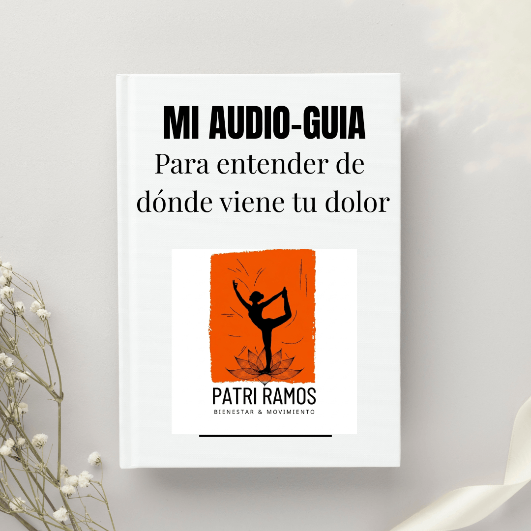 Audio Guia