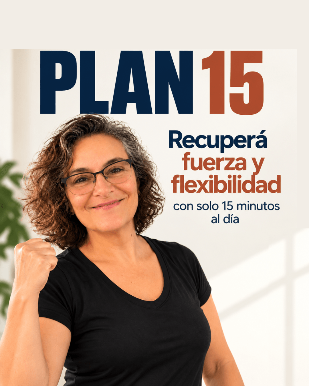 Plan 15