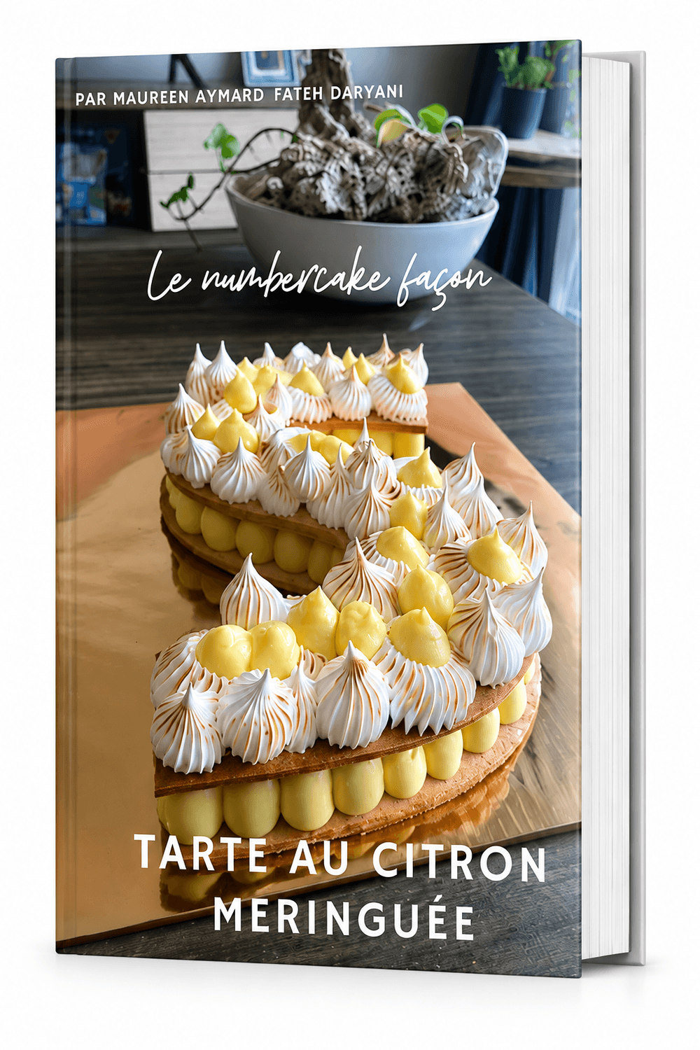 Ebook bonus