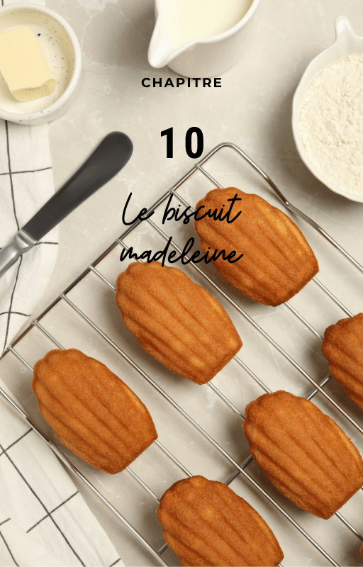 Chapitre 10, le biscuit madeleine