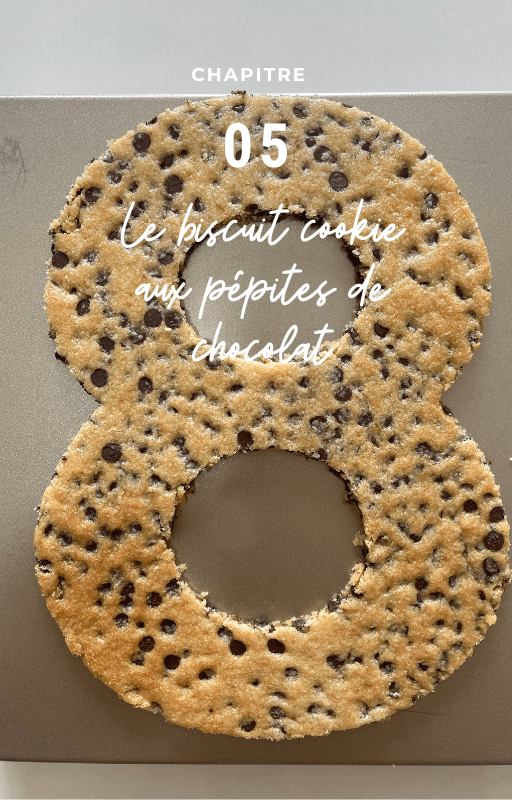 Chapitre 05, le biscuit cookie aux pépites de chocolat