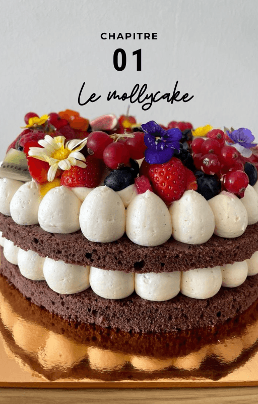 Chapitre 01, le mollycake